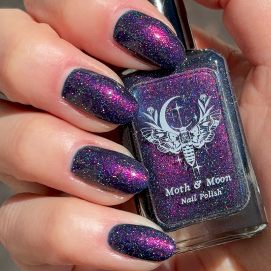 NEW! Deep Sea Creature