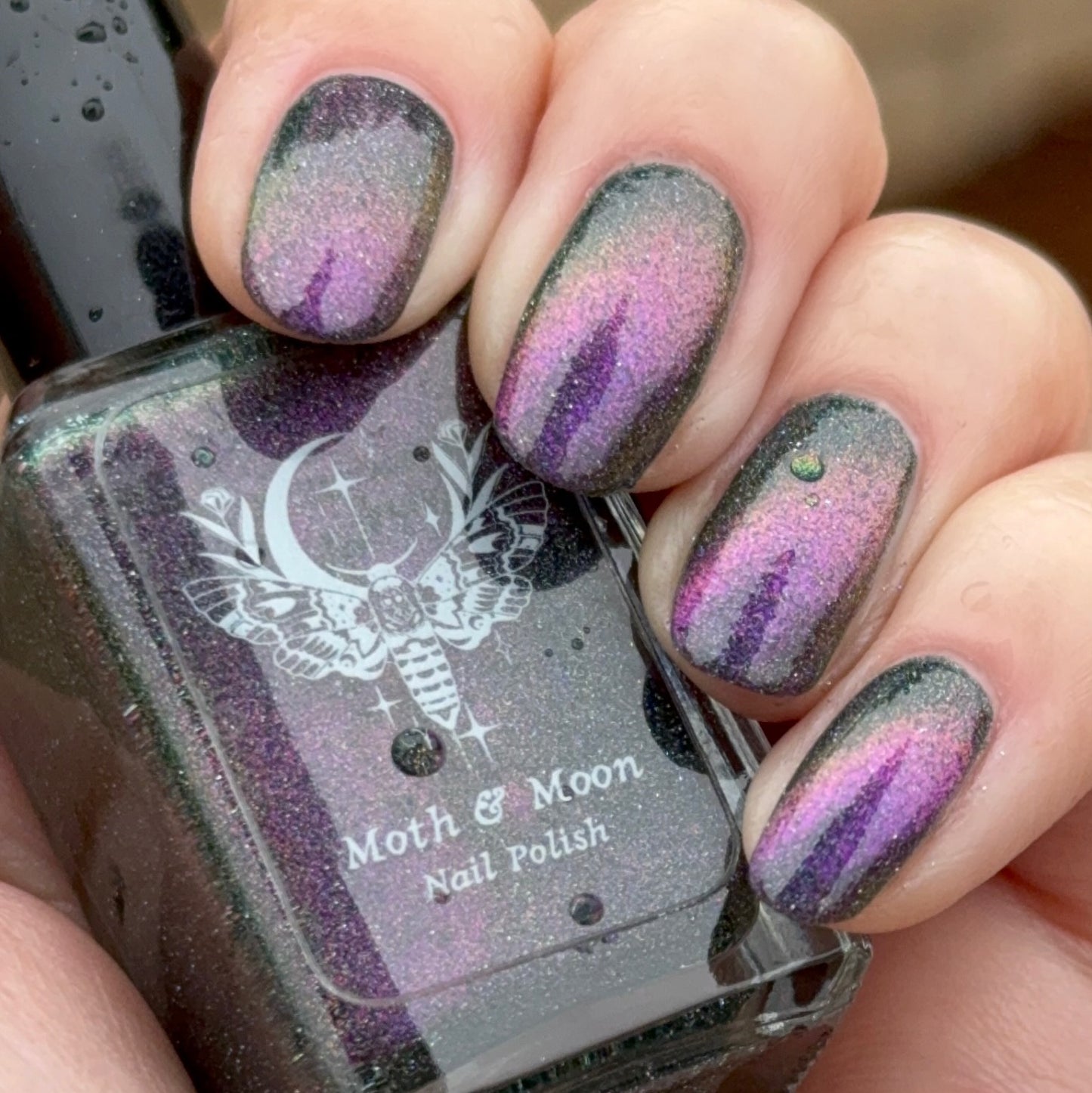 NEW! Earthly & Divine (magnetic)