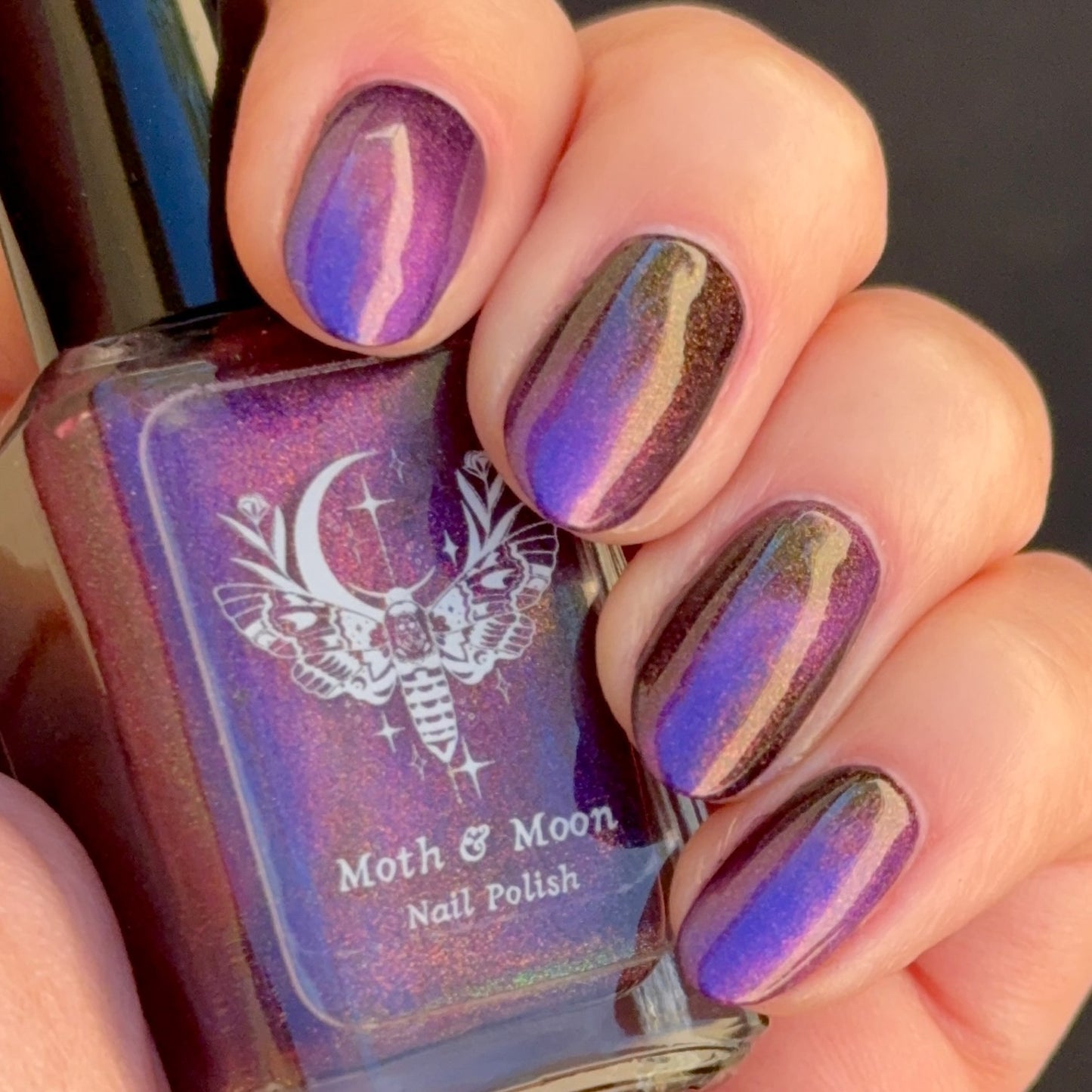 NEW! Sew Me Up (magnetic)