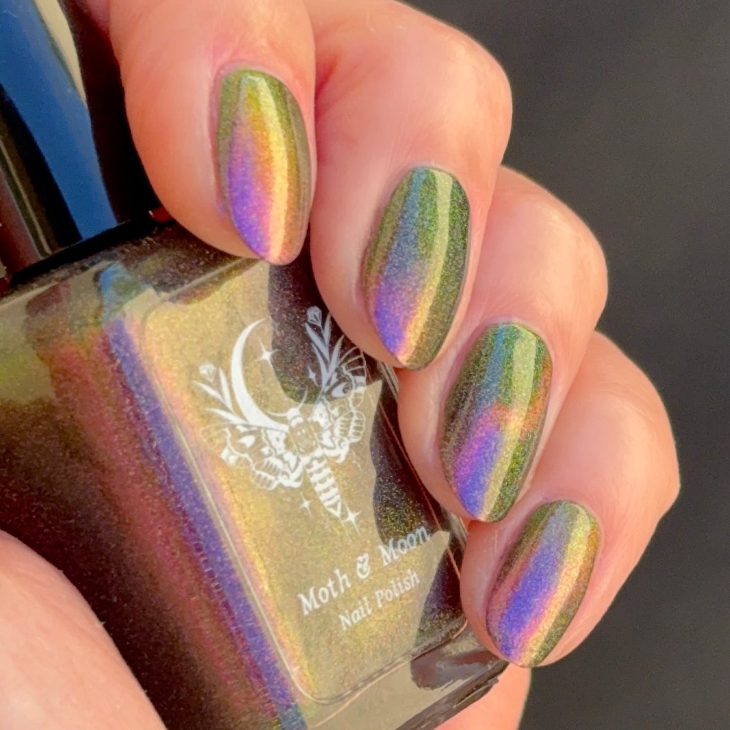 NEW! Cellar Door (magnetic)