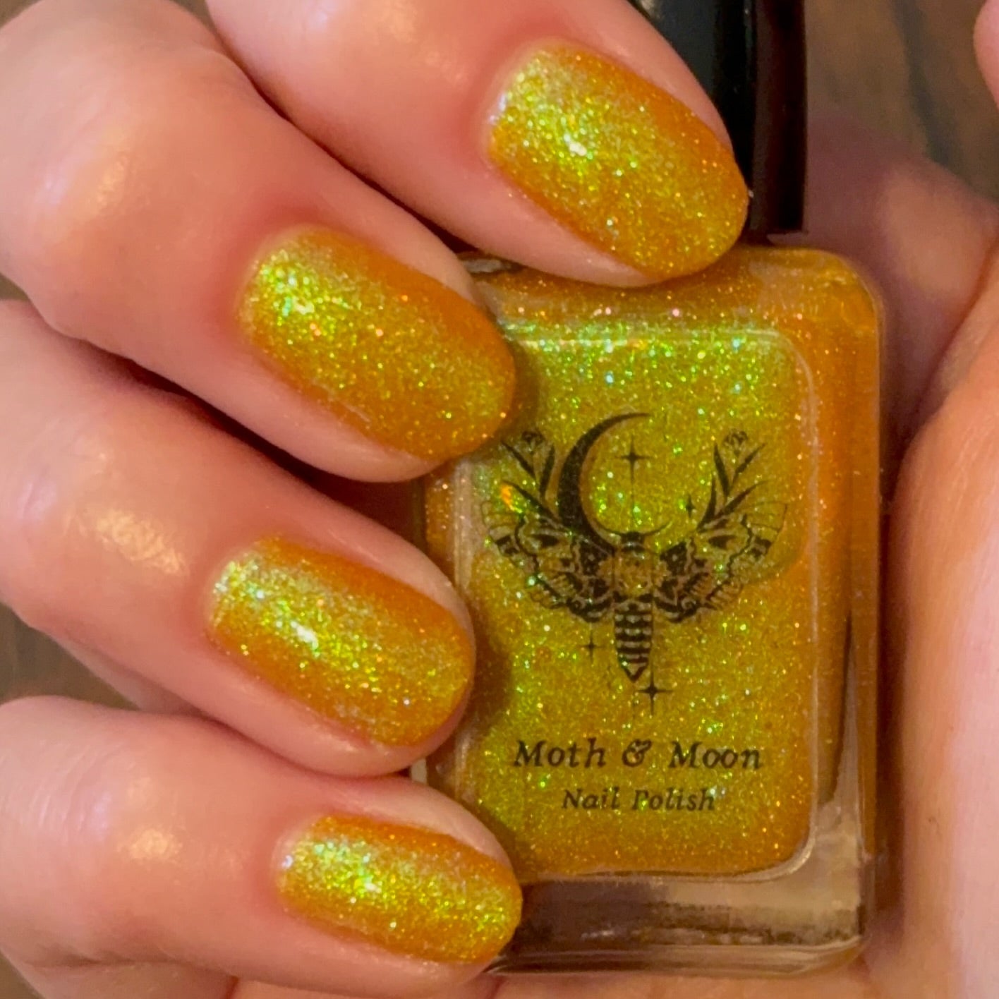 NEW! Summerween