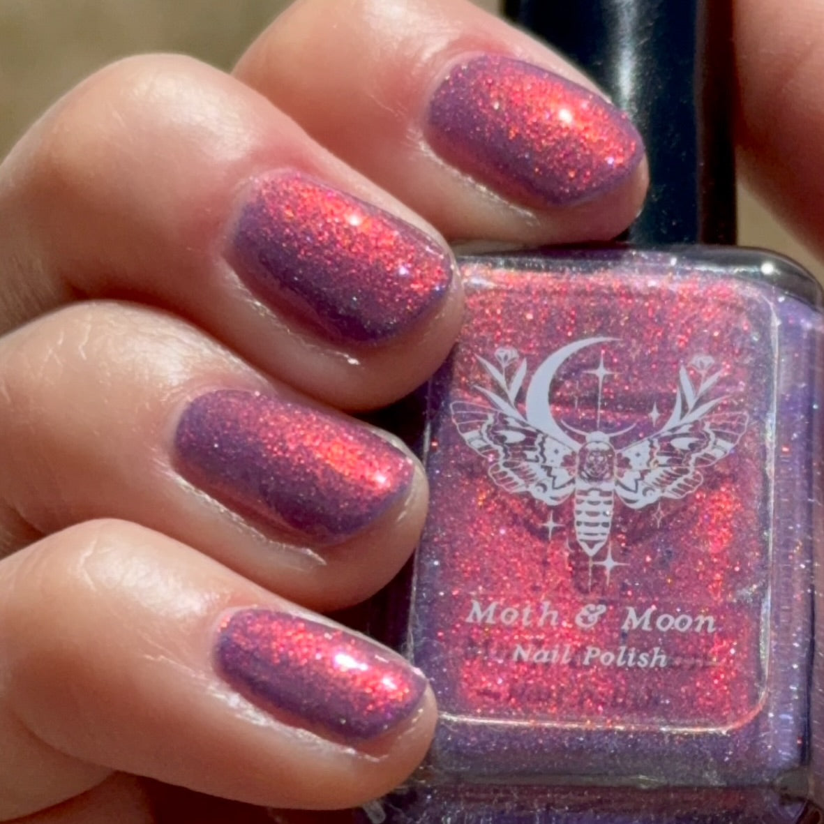 *NEW!  Fairyland