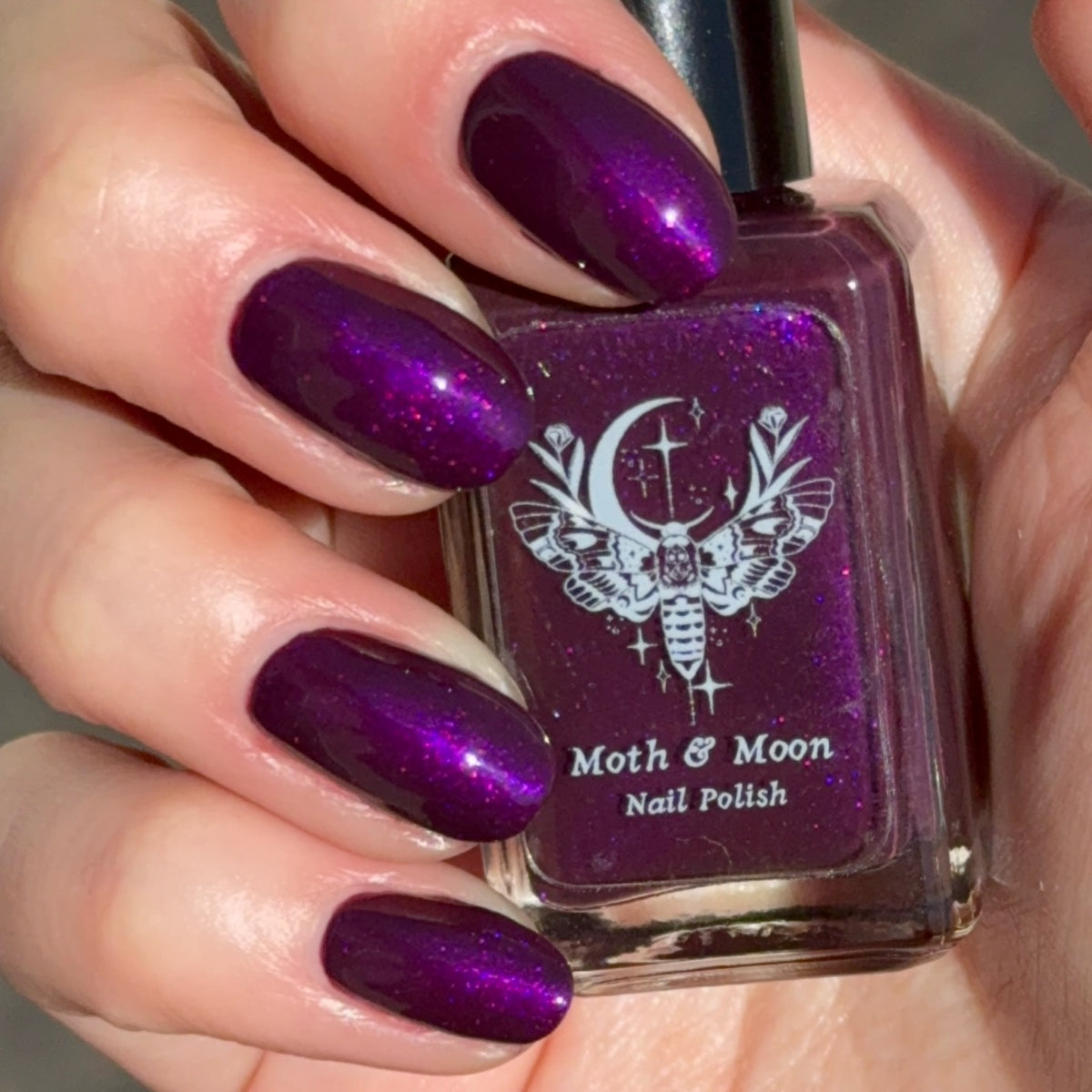 *NEW!  Dark Cradle