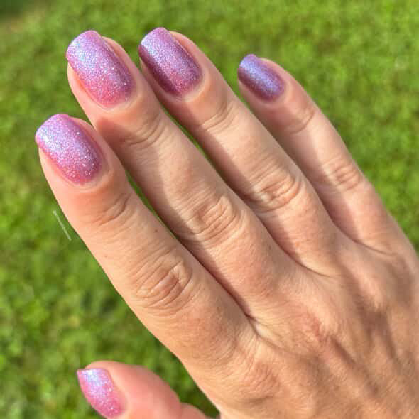 Not Ashamed (Trans Pride Charity)