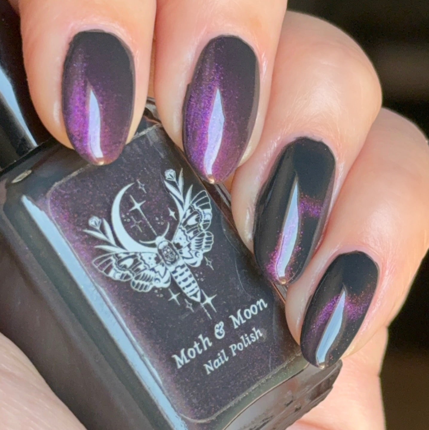 NEW!  Coven (magnetic)
