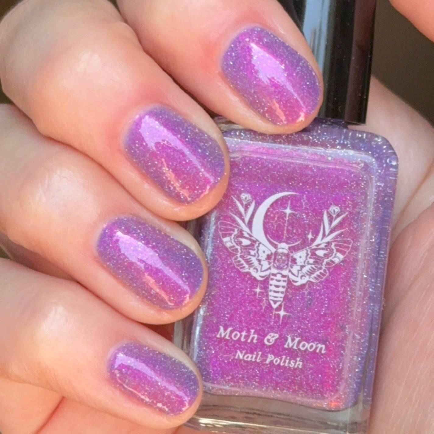 *NEW!  Fairyland