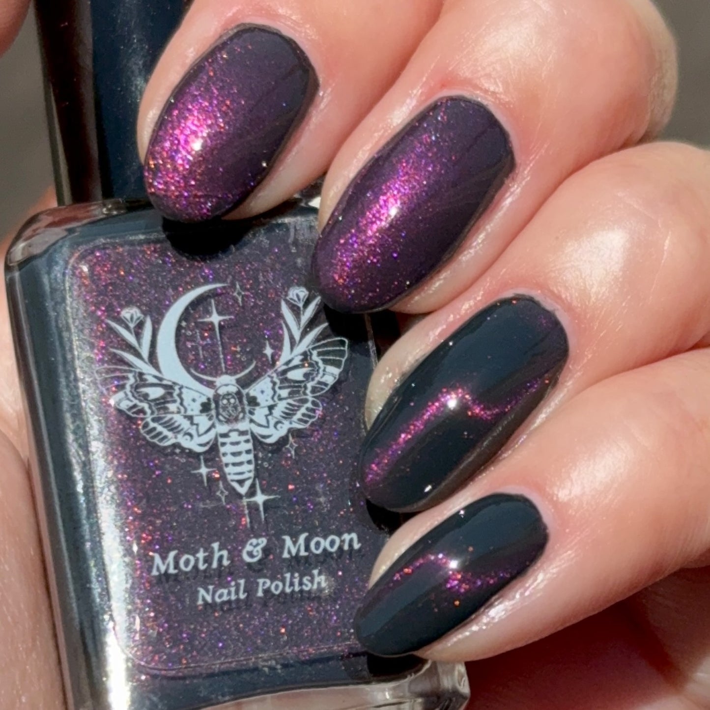 NEW!  Coven (magnetic)