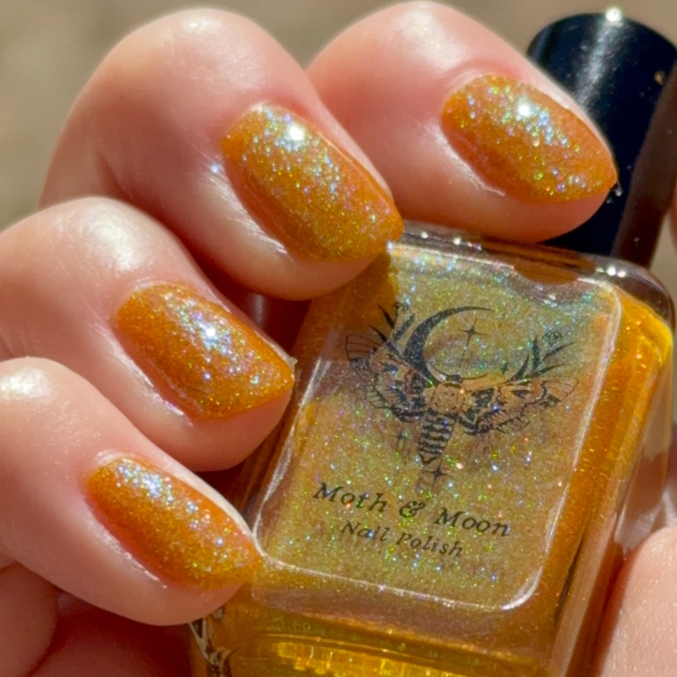NEW!  Summerween