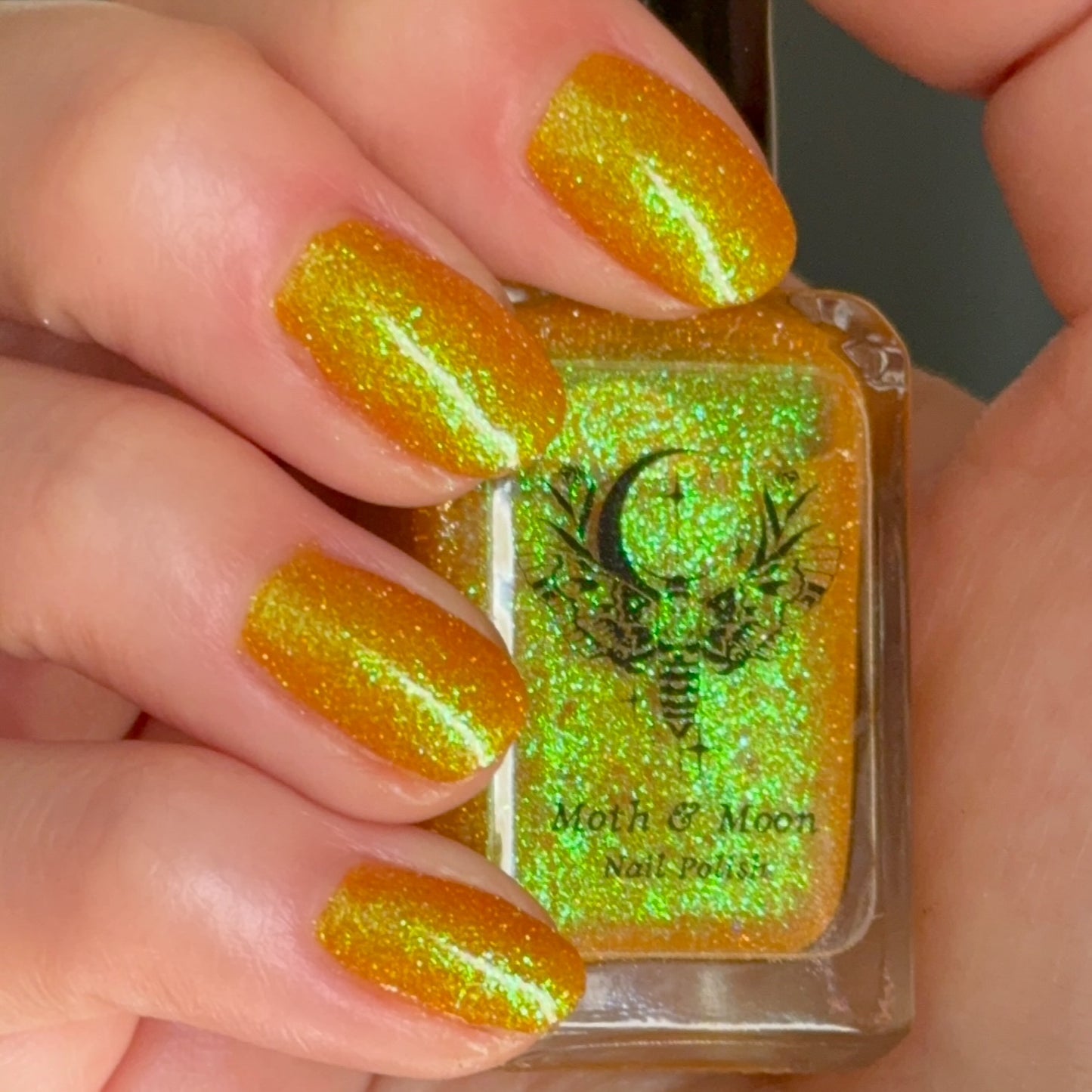 NEW!  Summerween