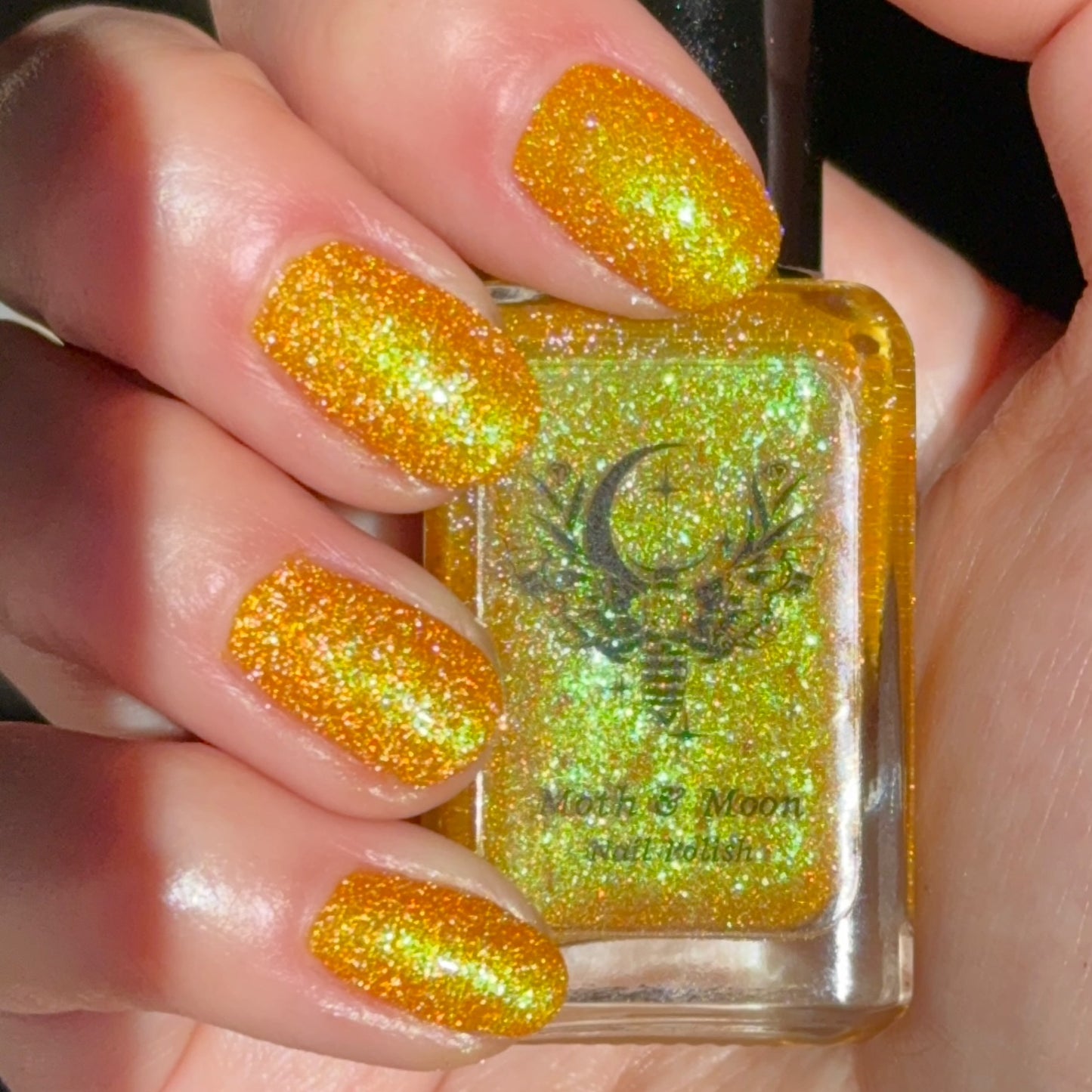 NEW!  Summerween