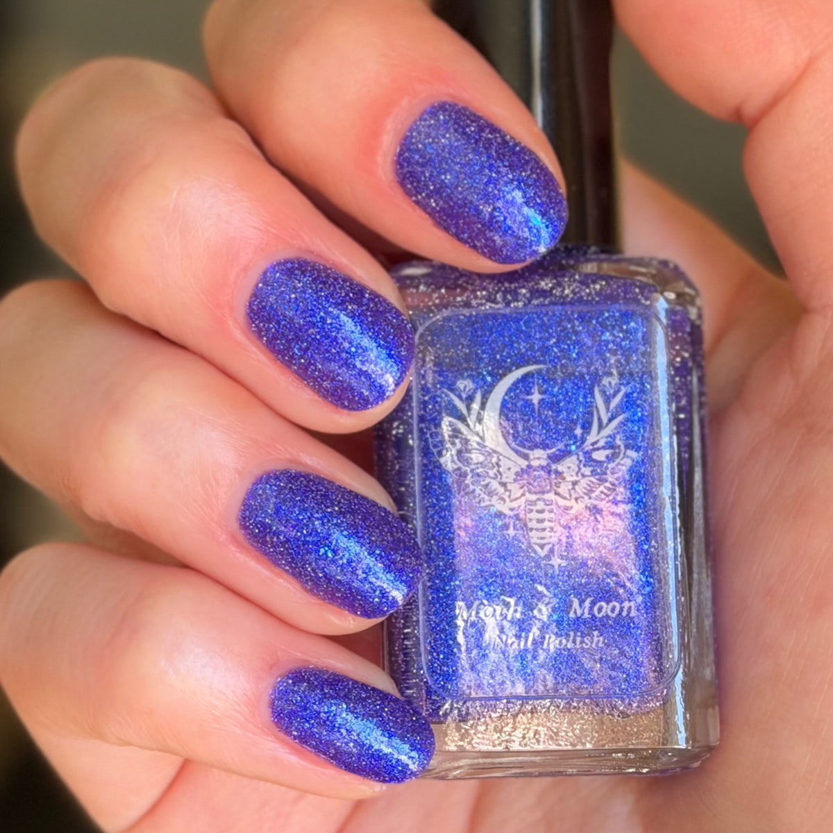 *NEW!  Orbit