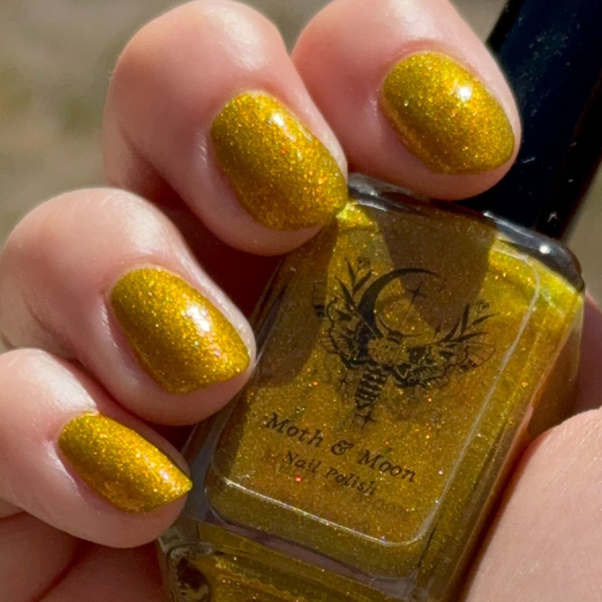 *NEW!  Giallo Film
