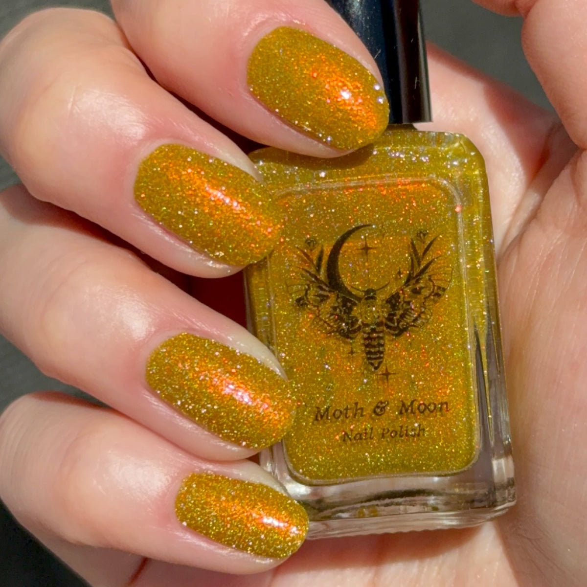 *NEW!  Giallo Film