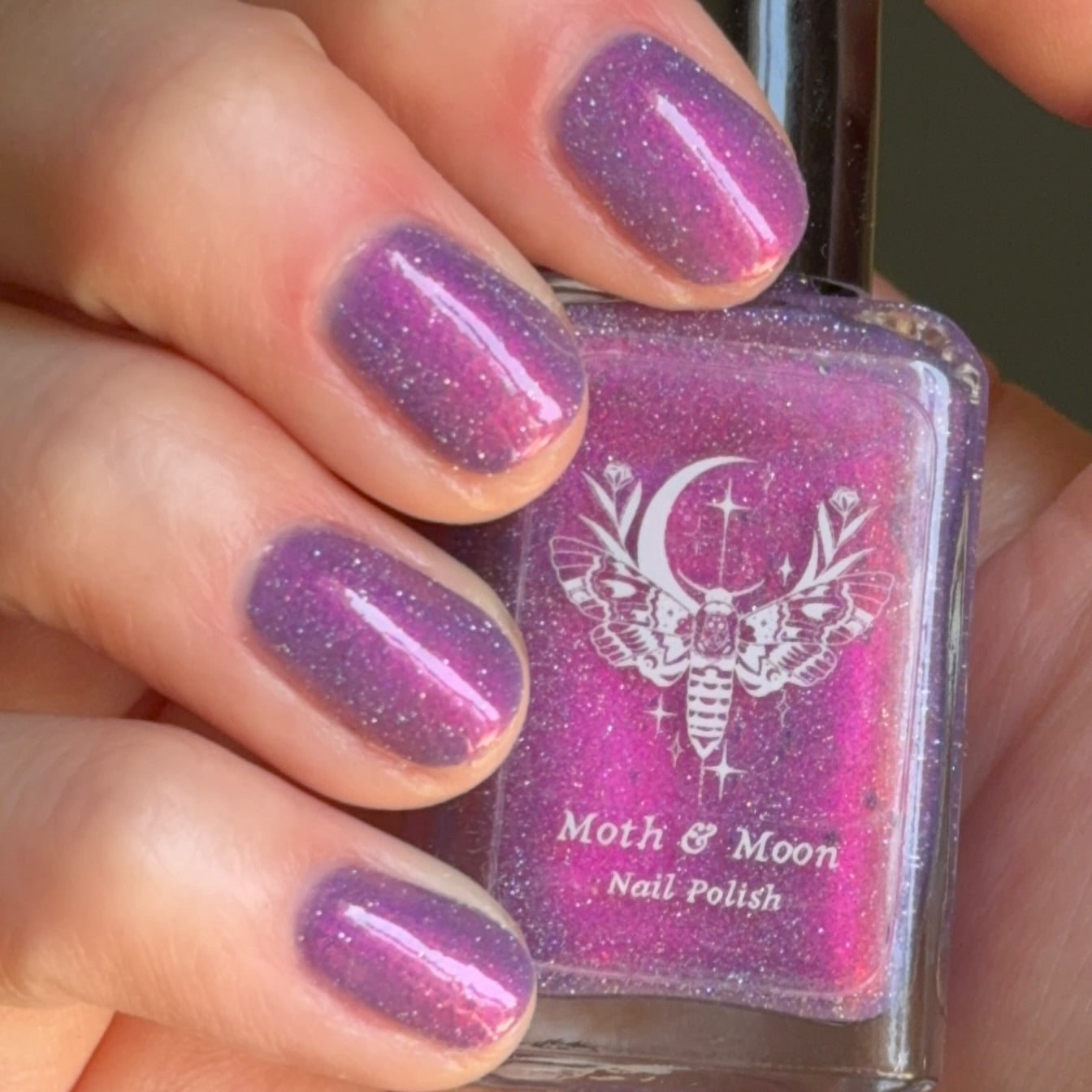 *NEW!  Fairyland