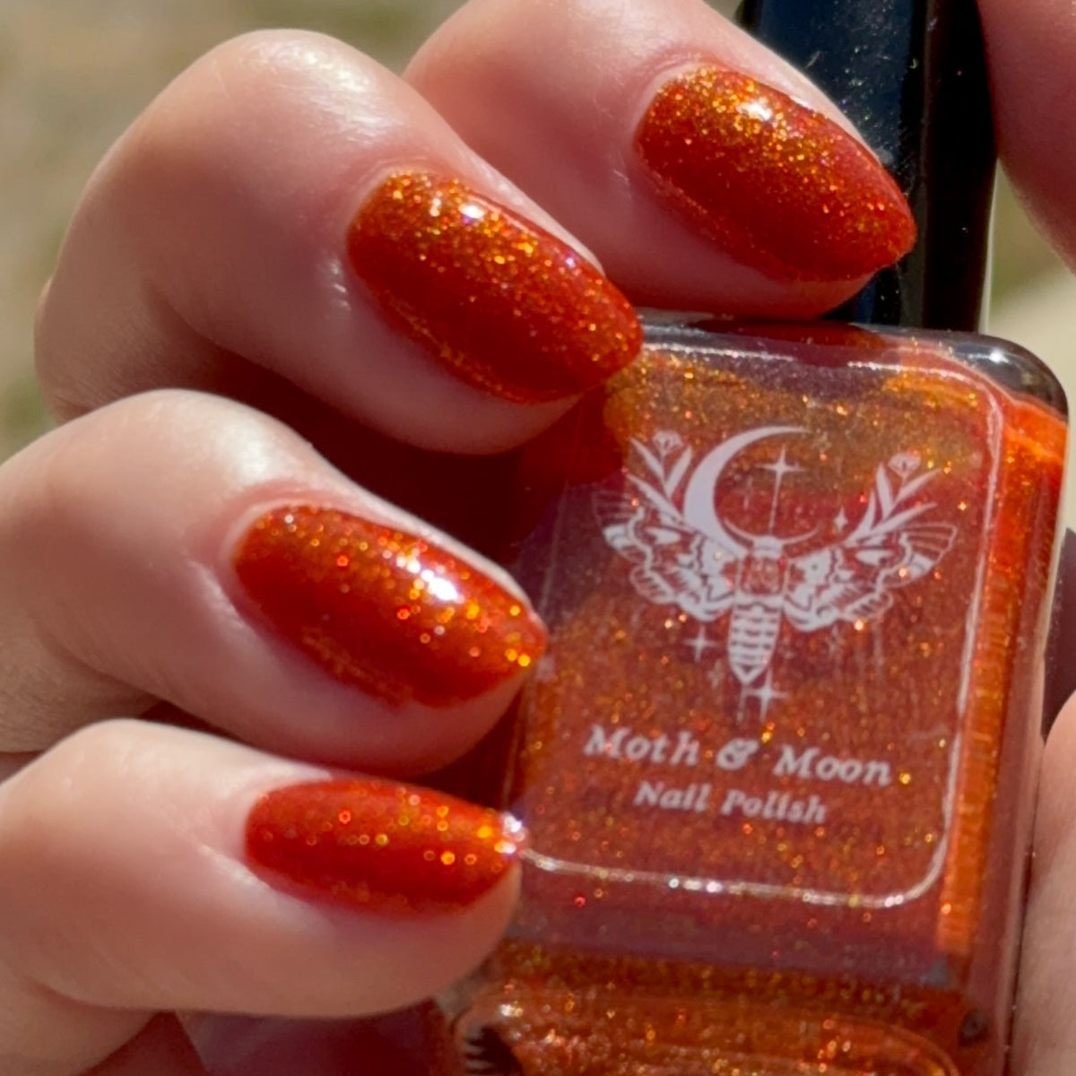 *NEW!  Foxy