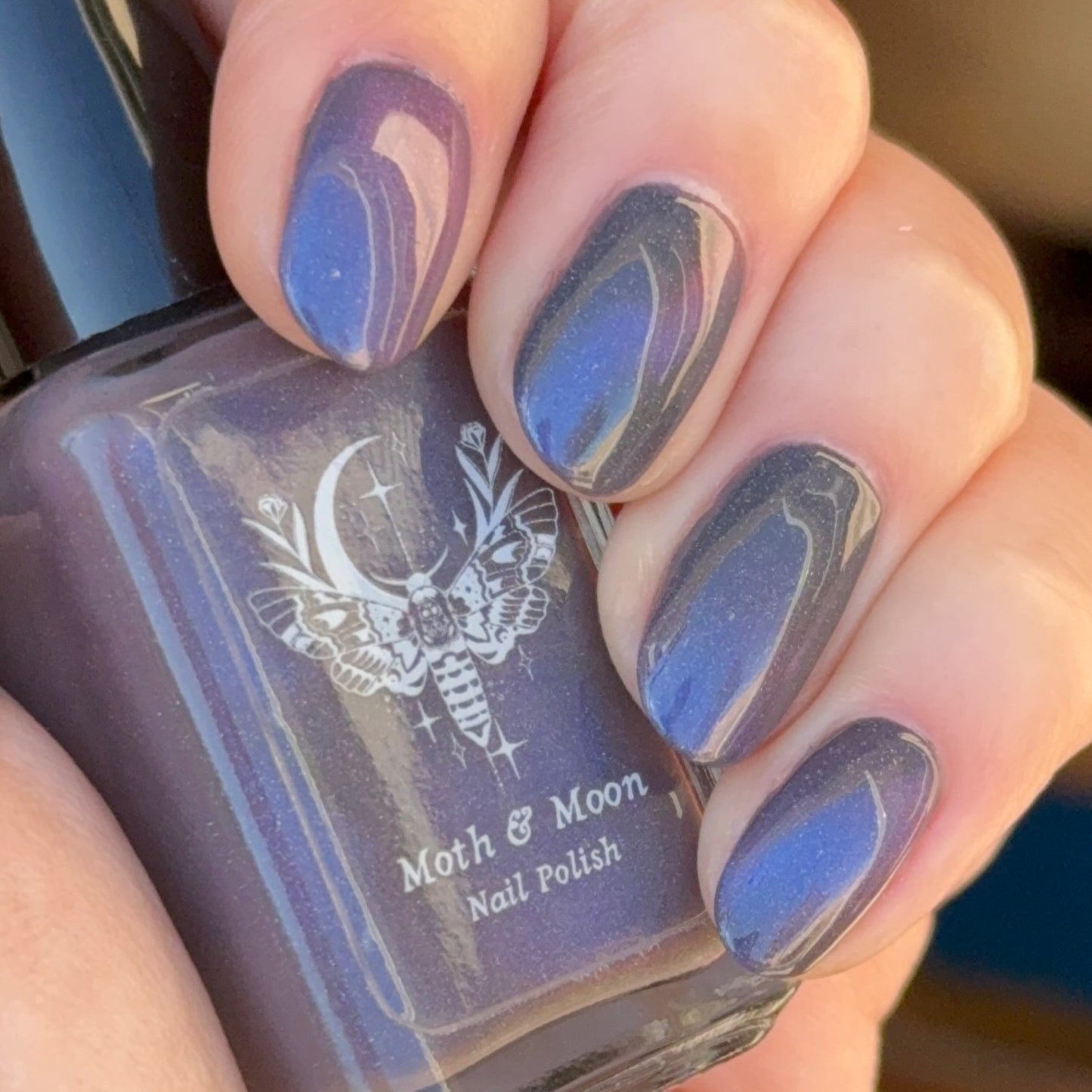 NEW!  The Crawl (magnetic)