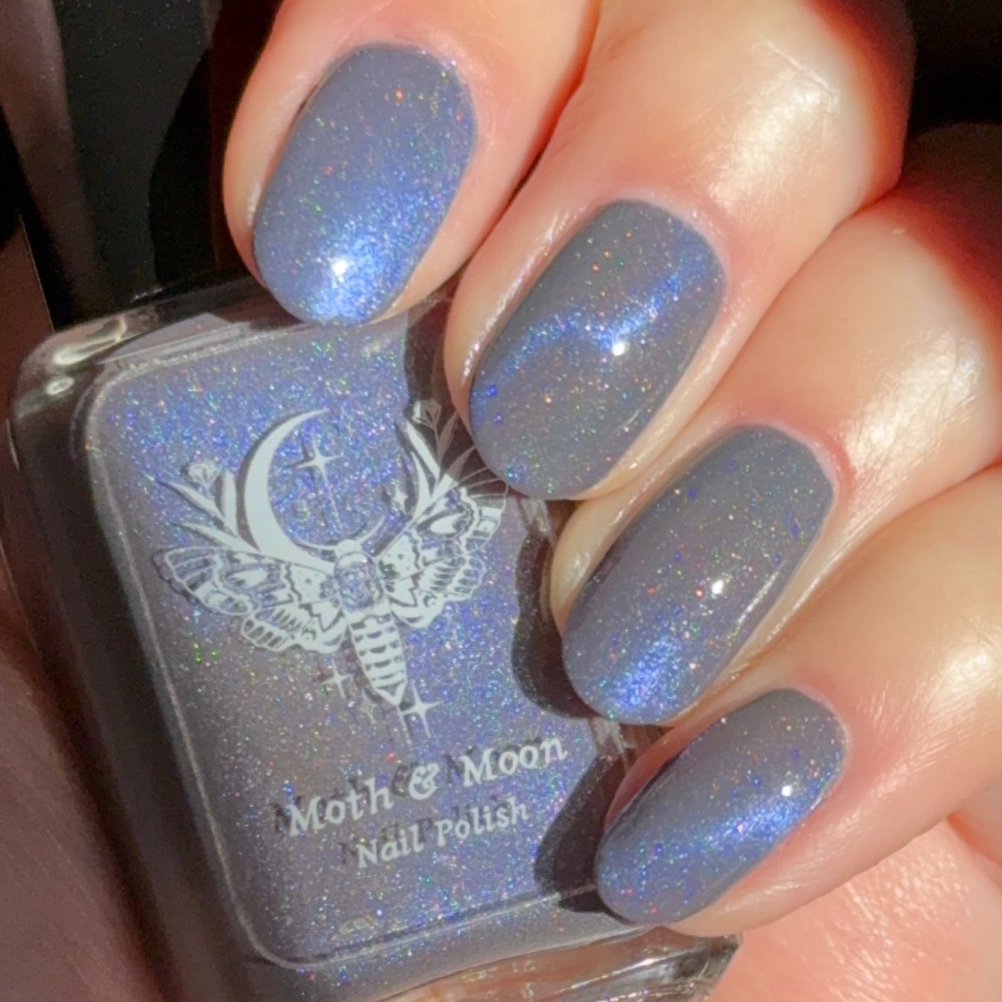 NEW!  The Crawl (magnetic)