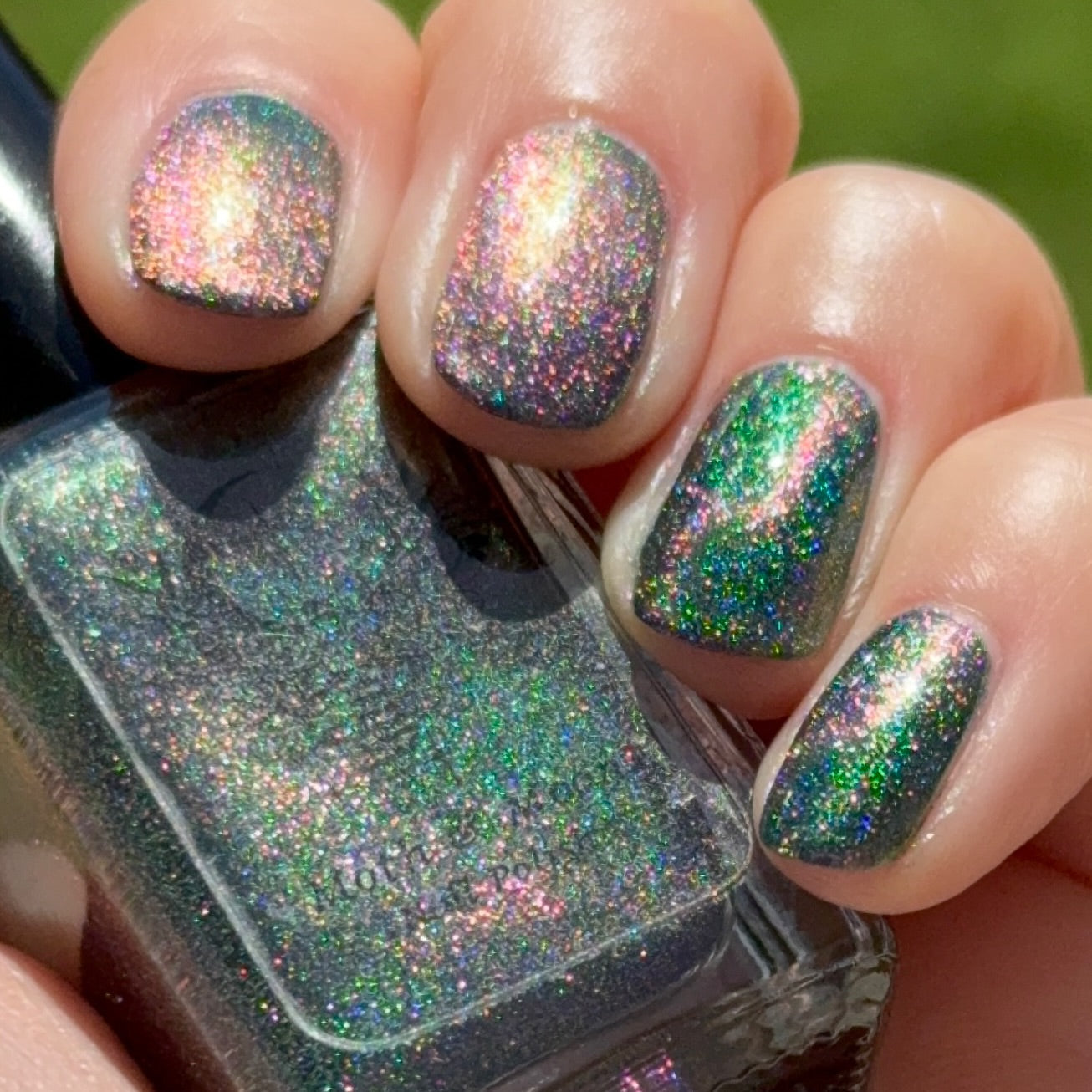 Lily of the Nile (magnetic)