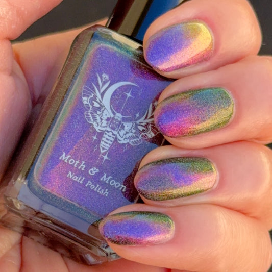 NEW!  Cellar Door (magnetic)