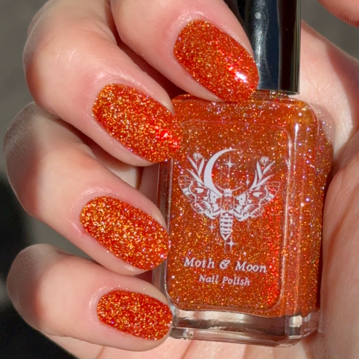 *NEW!  Foxy