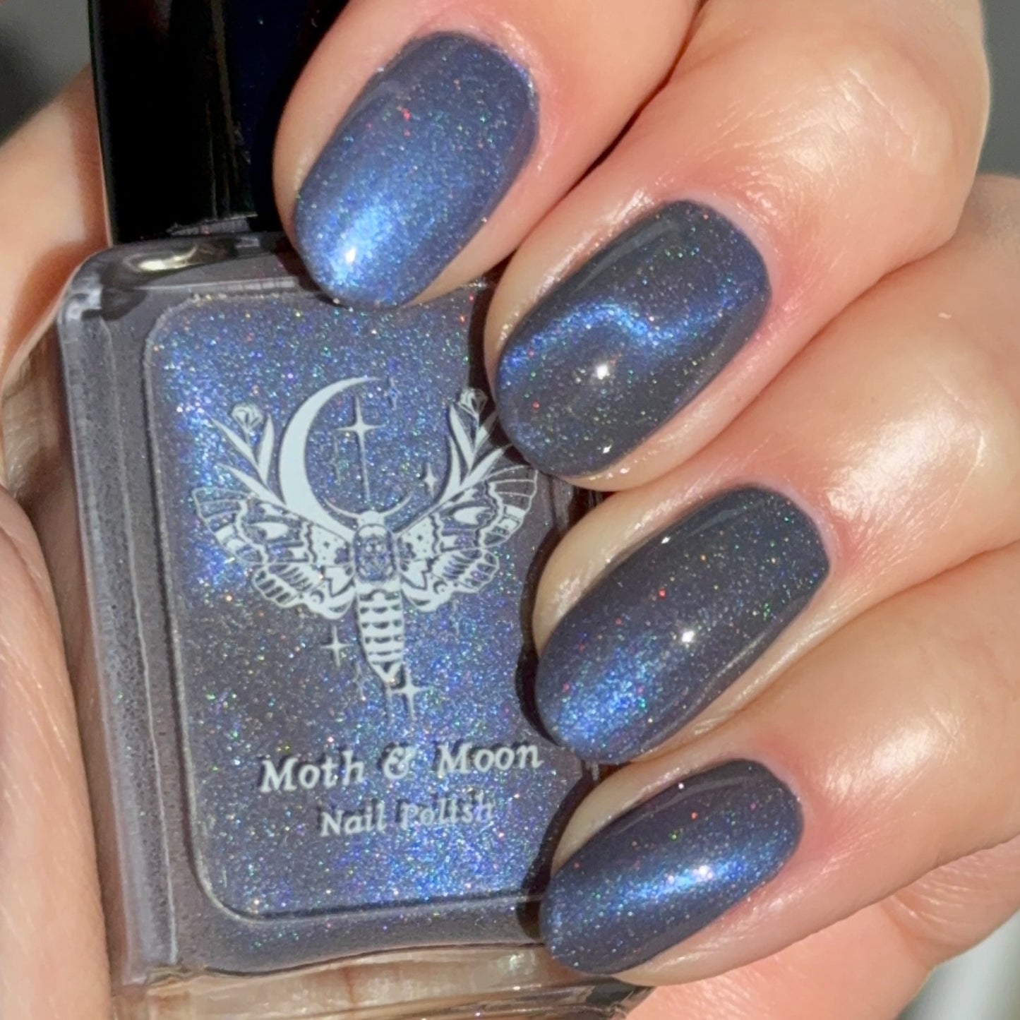 NEW!  The Crawl (magnetic)